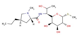 卡那霉素熒光檢測試紙條 卡那霉素熒光檢測試紙條