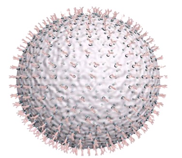 熒光納米微球 熒光納米微球
