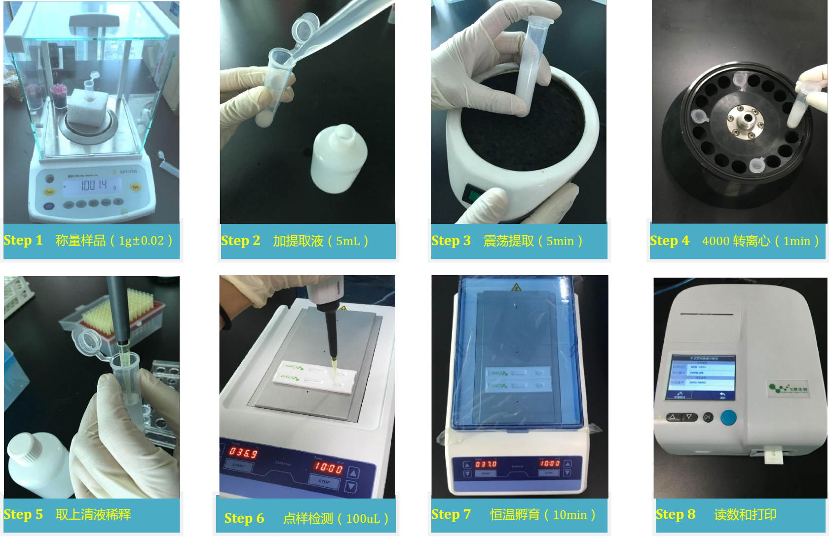 食用油中黃曲霉毒素檢測 食用油中黃曲霉毒素檢測