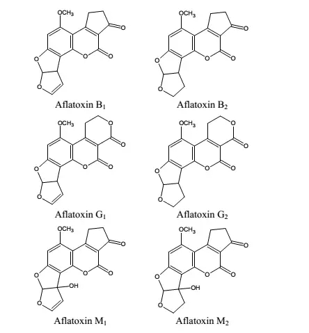 黃曲霉毒素結構 黃曲霉毒素結構