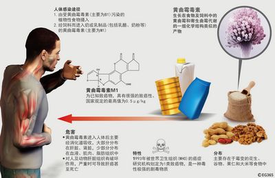 黃曲霉毒素B1檢測儀 黃曲霉毒素B1檢測儀