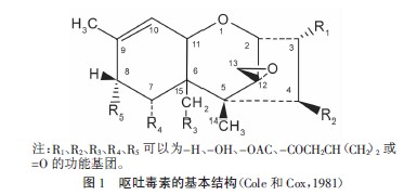 嘔吐毒素分子式 嘔吐毒素分子式