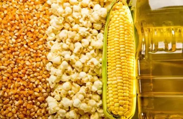 玉米油霉菌毒素快速檢測 玉米油霉菌毒素快速檢測