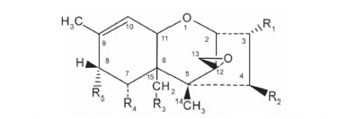嘔吐毒素分子式 嘔吐毒素分子式