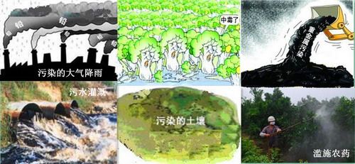 重金屬污染 重金屬污染