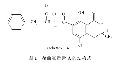 赭曲霉毒素A 赭曲霉毒素A