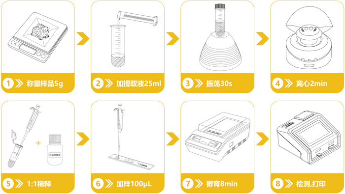 轉基因快速檢測流程 轉基因快速檢測流程