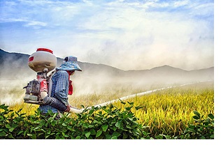 農藥殘留快速檢測 農藥殘留快速檢測