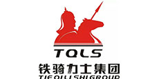 鐵騎力士集團(tuán) 鐵騎力士集團(tuán)