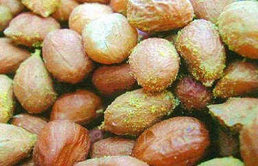 花生黃曲霉毒素 花生黃曲霉毒素